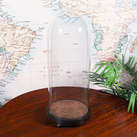 Tall Victorian Antique Specimen Showcase Dome, English, Glass, Taxidermy, 1895