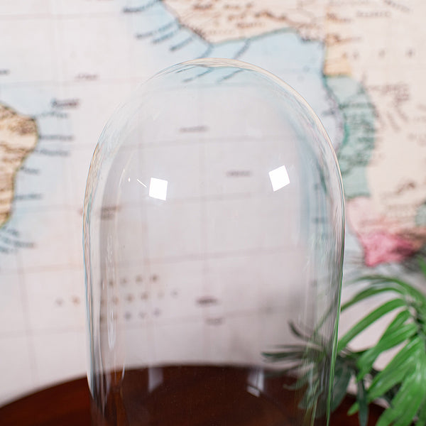 Tall Victorian Antique Specimen Showcase Dome, English, Glass, Taxidermy, 1895