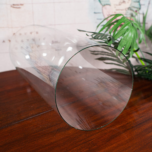 Large Antique Victorian Display Dome, English, Glass, Taxidermy Showcase, C.1880