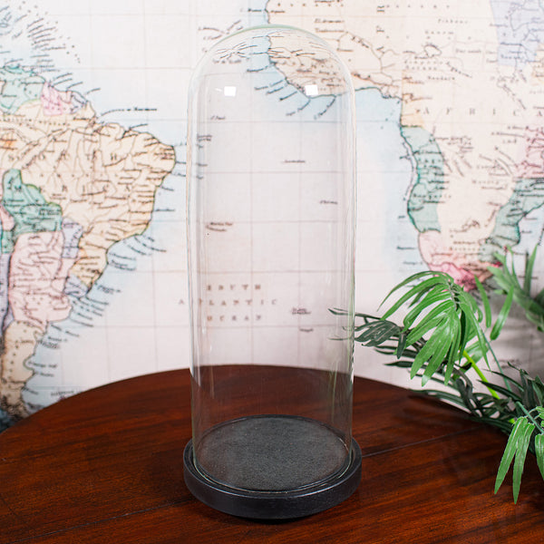 Large Antique Victorian Display Dome, English, Glass, Taxidermy Showcase, C.1880