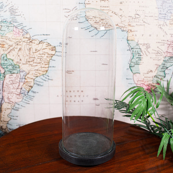 Large Antique Victorian Display Dome, English, Glass, Taxidermy Showcase, C.1880