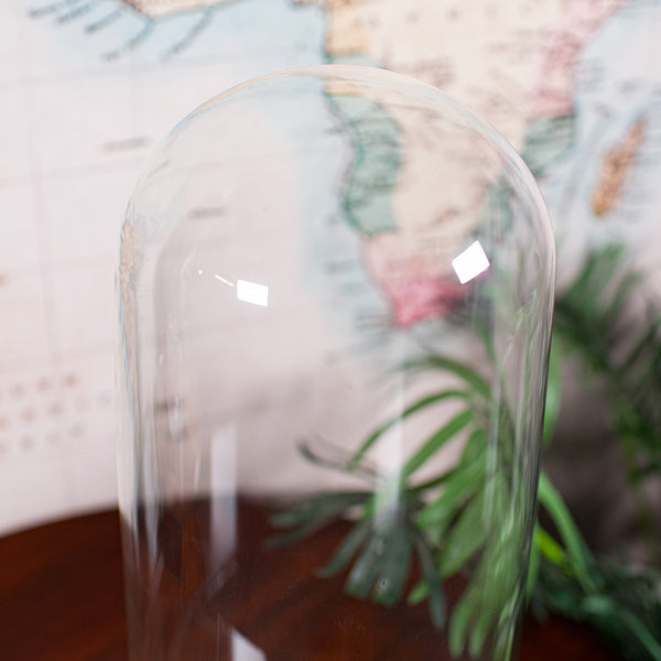 Large Antique Victorian Display Dome, English, Glass, Taxidermy Showcase, C.1880
