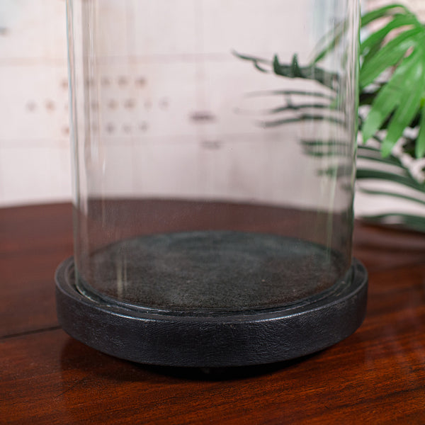 Large Antique Victorian Display Dome, English, Glass, Taxidermy Showcase, C.1880