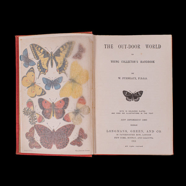 Antique Reference Book, The Outdoor World, English, Natural Interest, George V