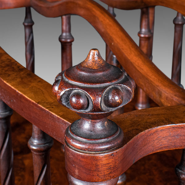Antique Canterbury Stand, English, Burr Walnut, Newspaper, Magazine, Regency