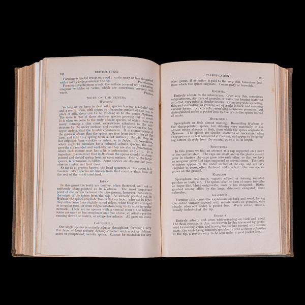 Antique Reference Book, British Fungi, George Massee, English, Natural, Science