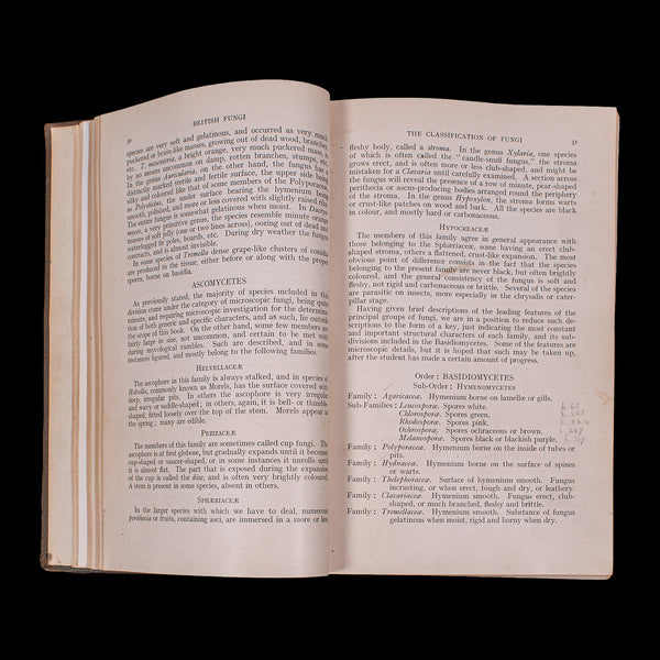 Antique Reference Book, British Fungi, George Massee, English, Natural, Science