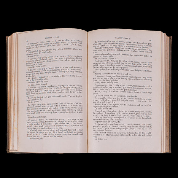 Antique Reference Book, British Fungi, George Massee, English, Natural, Science