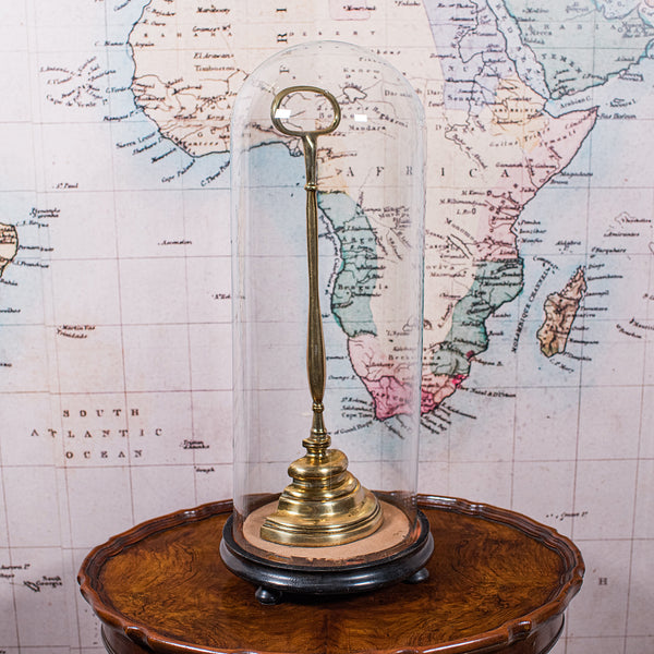 Tall Antique Display Dome, English, Glass, Taxidermy Showcase, Edwardian, C.1905