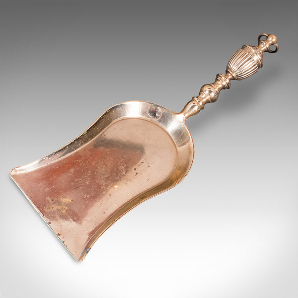 Antique Maid's Fireside Maintenance Set, English, Shovel, Brush, Regency, C.1820