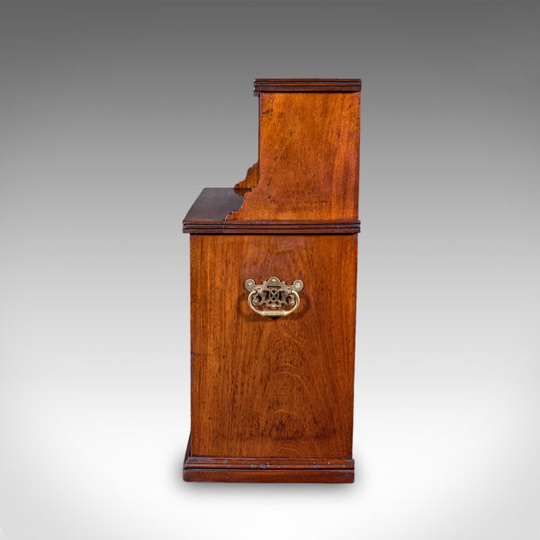 Antique Cartographer's Campaign Bookcase, English Folio Shelves, Victorian, 1860