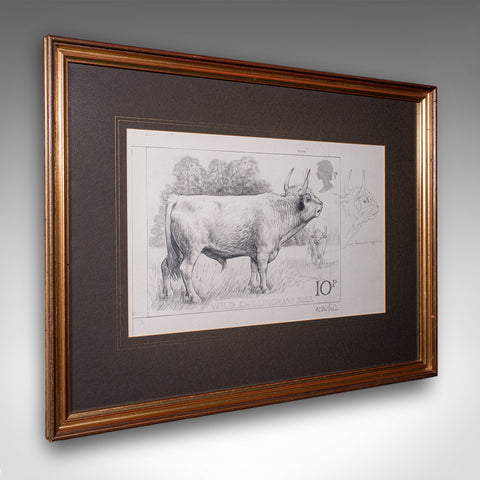 Artist's Proof Sketch, English, Framed Drawing, Barry Driscoll, Chillingham Bull