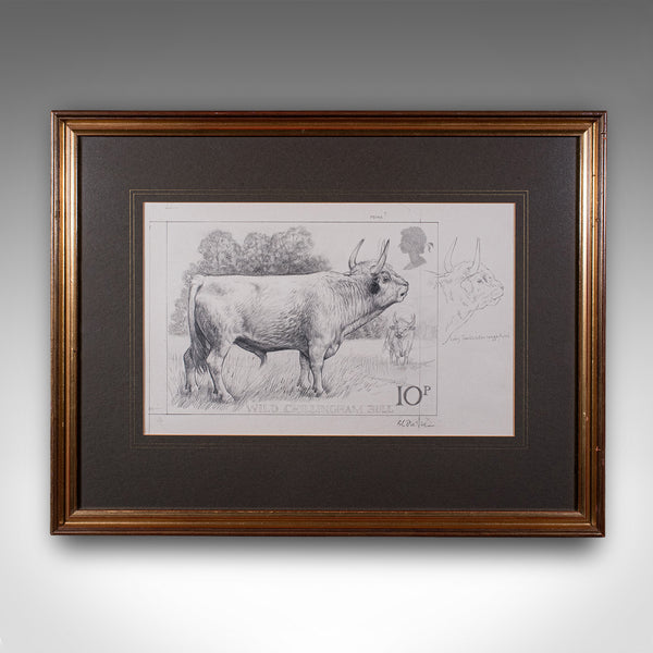 Artist's Proof Sketch, English, Framed Drawing, Barry Driscoll, Chillingham Bull