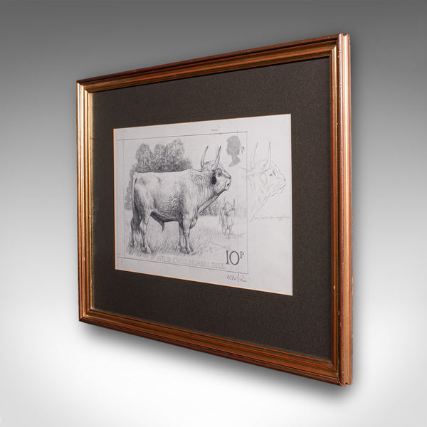 Artist's Proof Sketch, English, Framed Drawing, Barry Driscoll, Chillingham Bull