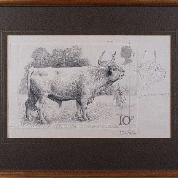 Artist's Proof Sketch, English, Framed Drawing, Barry Driscoll, Chillingham Bull