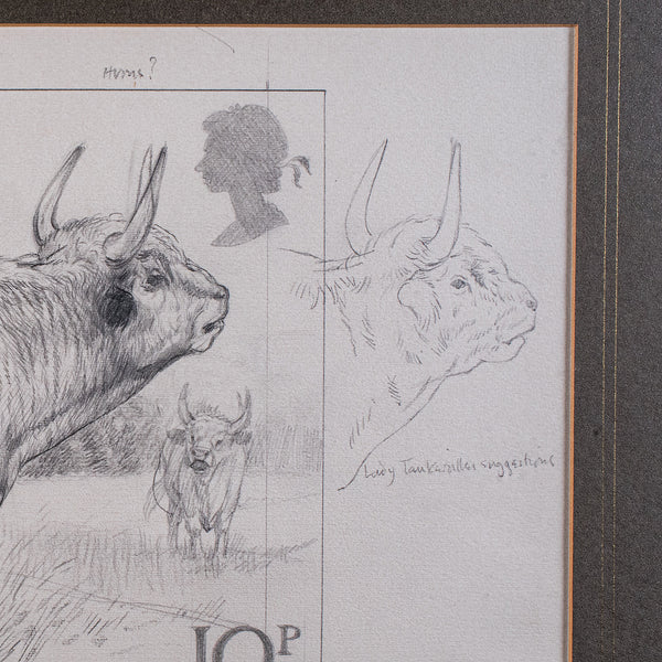 Artist's Proof Sketch, English, Framed Drawing, Barry Driscoll, Chillingham Bull
