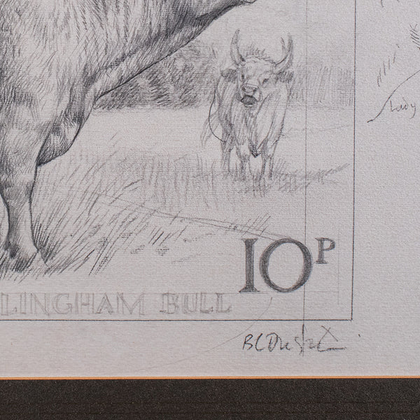 Artist's Proof Sketch, English, Framed Drawing, Barry Driscoll, Chillingham Bull