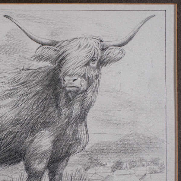 Vintage Highland Cow Artist's Proof, English, Framed, Stamp Art, Barry Driscoll
