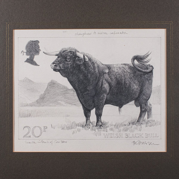 Vintage Stamp Proof Sketch, English, Barry Driscoll, Welsh Black Bull, Framed