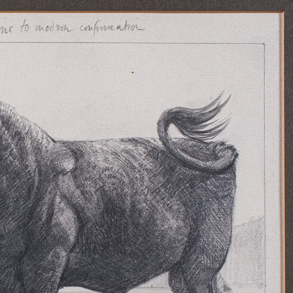 Vintage Stamp Proof Sketch, English, Barry Driscoll, Welsh Black Bull, Framed