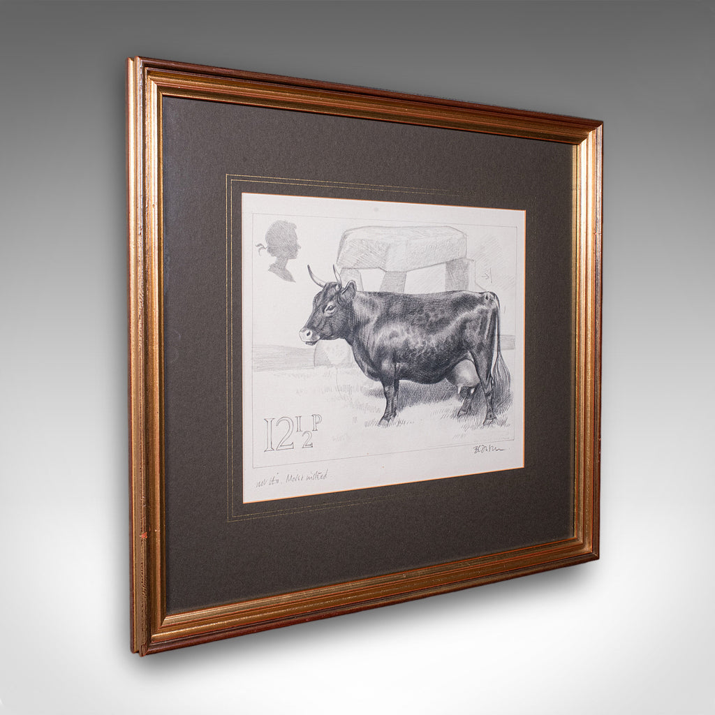 Vintage Irish Dexter Cow Proof, English, Framed Artist's Sketch, Barry Driscoll