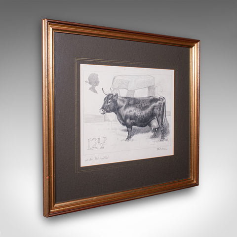 Vintage Irish Dexter Cow Proof, English, Framed Artist's Sketch, Barry Driscoll