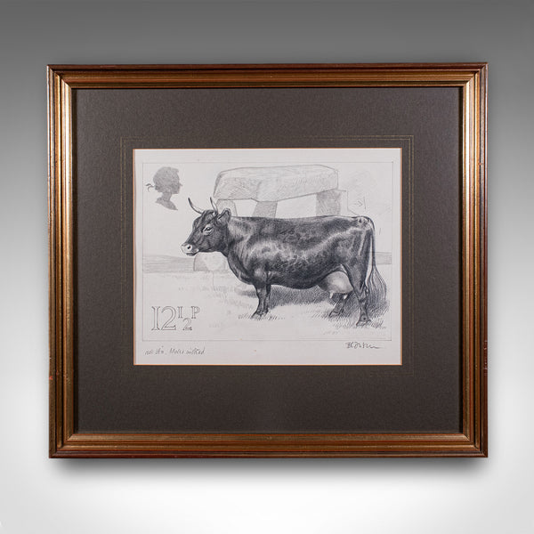Vintage Irish Dexter Cow Proof, English, Framed Artist's Sketch, Barry Driscoll