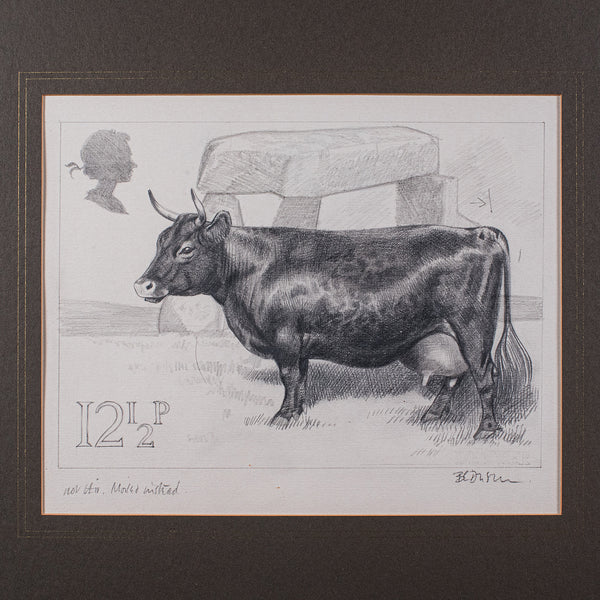 Vintage Irish Dexter Cow Proof, English, Framed Artist's Sketch, Barry Driscoll