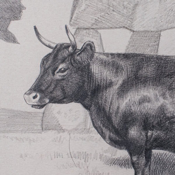 Vintage Irish Dexter Cow Proof, English, Framed Artist's Sketch, Barry Driscoll