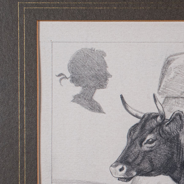 Vintage Irish Dexter Cow Proof, English, Framed Artist's Sketch, Barry Driscoll