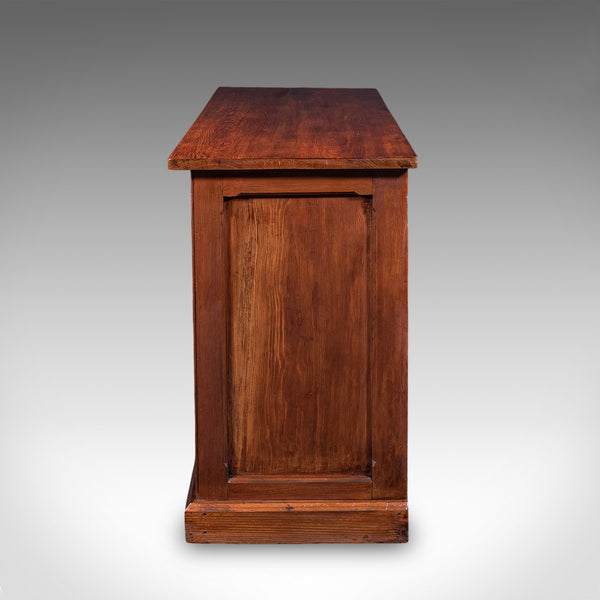 Antique Gothic Revival Cabinet, English, Storage Cupboard, Bookcase, Victorian