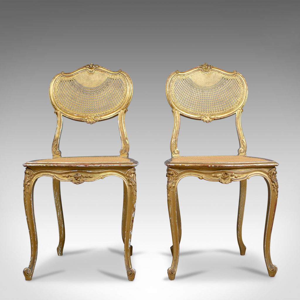 Antique Louis XV Revival Salon Chairs, French, Giltwood, Cane, C19th, Circa 1900 - London Fine Antiques