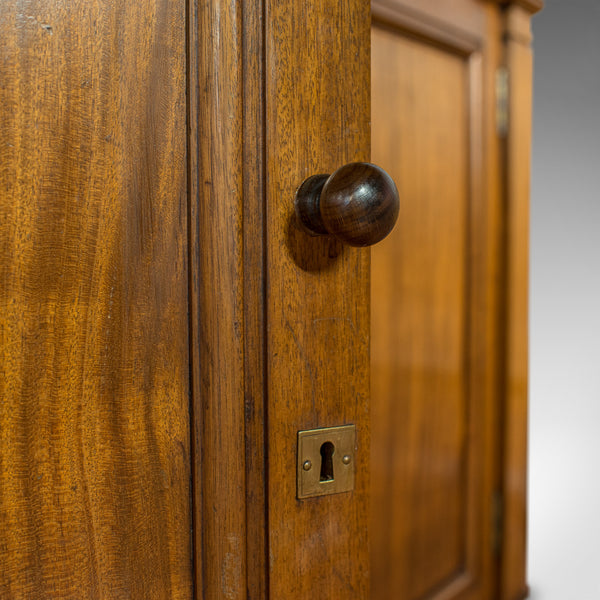 Antique Display Cabinet, English, Walnut, Bronze, Showcase, Museum, Circa 1900 - London Fine Antiques