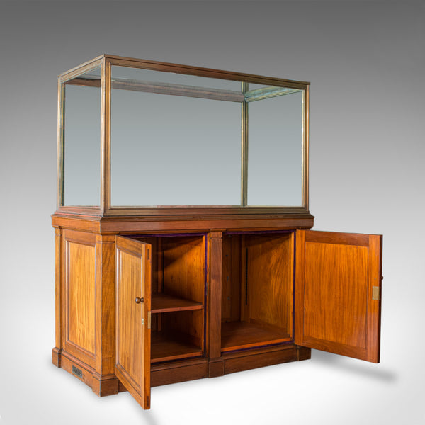 Antique Display Cabinet, English, Walnut, Bronze, Showcase, Museum, Circa 1900 - London Fine Antiques
