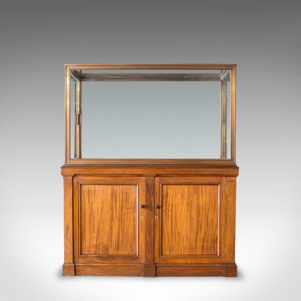 Antique Display Cabinet, English, Walnut, Bronze, Showcase, Museum, Circa 1900 - London Fine Antiques