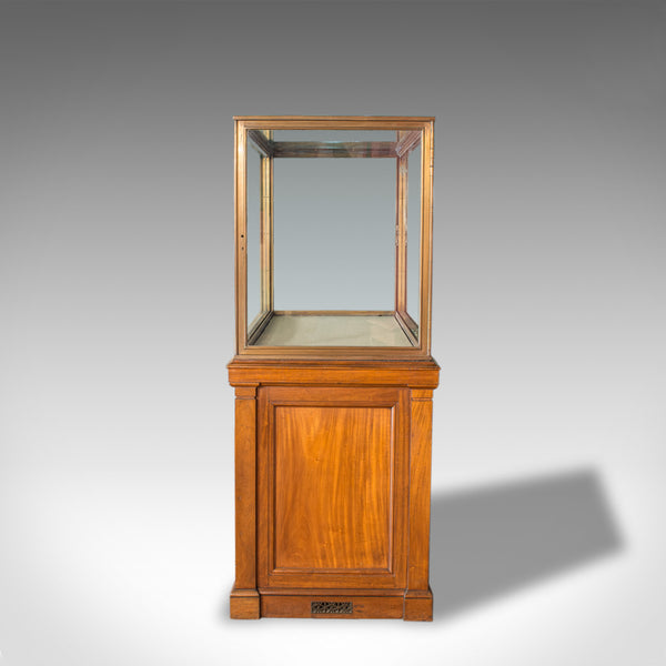 Antique Display Cabinet, English, Walnut, Bronze, Showcase, Museum, Circa 1900 - London Fine Antiques