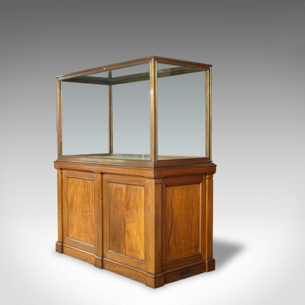 Antique Display Cabinet, English, Walnut, Bronze, Showcase, Museum, Circa 1900 - London Fine Antiques