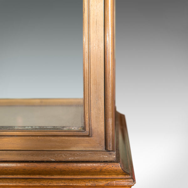 Antique Display Cabinet, English, Walnut, Bronze, Showcase, Museum, Circa 1900 - London Fine Antiques