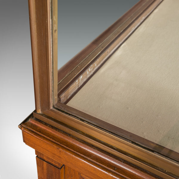 Antique Display Cabinet, English, Walnut, Bronze, Showcase, Museum, Circa 1900 - London Fine Antiques