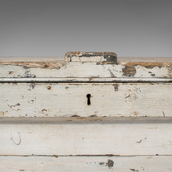 Antique Travel Trunk, English, Pine, Zinc Lined, Carriage Chest, Victorian - London Fine Antiques
