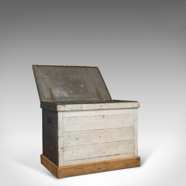 Antique Travel Trunk, English, Pine, Zinc Lined, Carriage Chest, Victorian - London Fine Antiques
