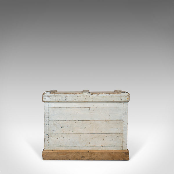 Antique Travel Trunk, English, Pine, Zinc Lined, Carriage Chest, Victorian - London Fine Antiques