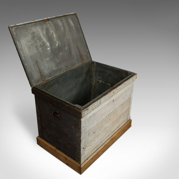 Antique Travel Trunk, English, Pine, Zinc Lined, Carriage Chest, Victorian - London Fine Antiques
