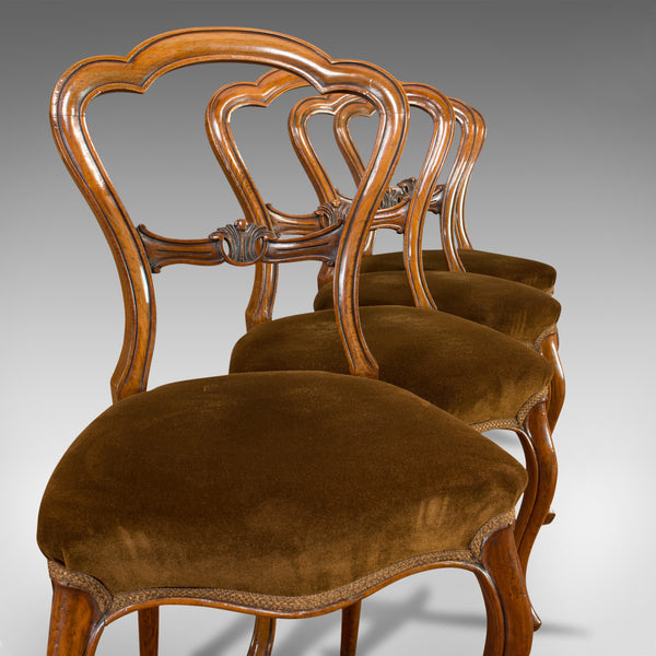 Antique Set of Chairs, English, Walnut, Suite, 4 Dining Chairs, Victorian C.1840 - London Fine Antiques