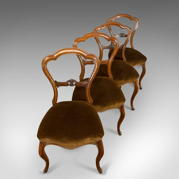 Antique Set of Chairs, English, Walnut, Suite, 4 Dining Chairs, Victorian C.1840 - London Fine Antiques