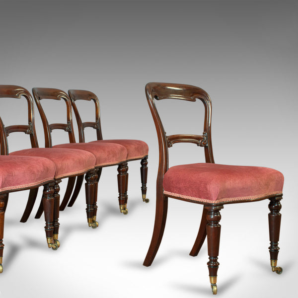 Antique Dining Chair Suite, English, Walnut, Set of, 5 Chairs, Gillow, Victorian - London Fine Antiques