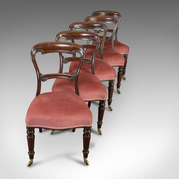 Antique Dining Chair Suite, English, Walnut, Set of, 5 Chairs, Gillow, Victorian - London Fine Antiques