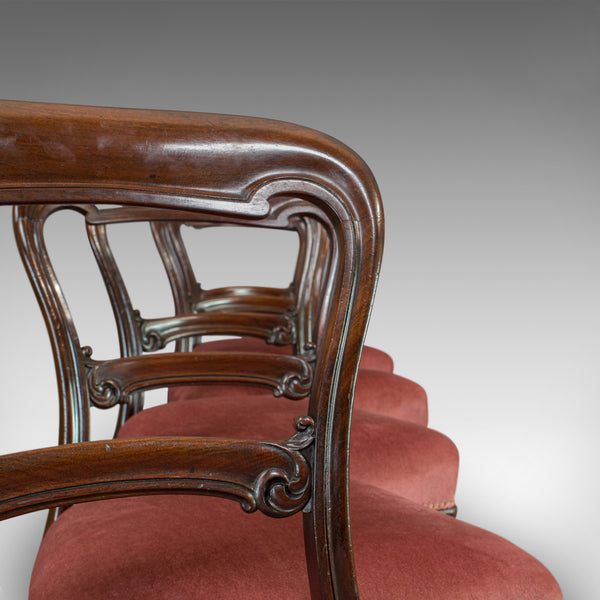 Antique Dining Chair Suite, English, Walnut, Set of, 5 Chairs, Gillow, Victorian - London Fine Antiques