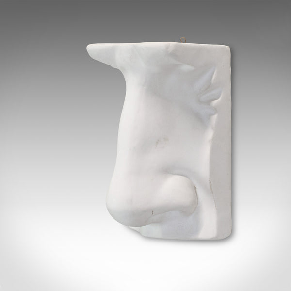 Vintage Portrait Sculpture, English, Plaster, Haut Relief, Nose, 20th Century - London Fine Antiques