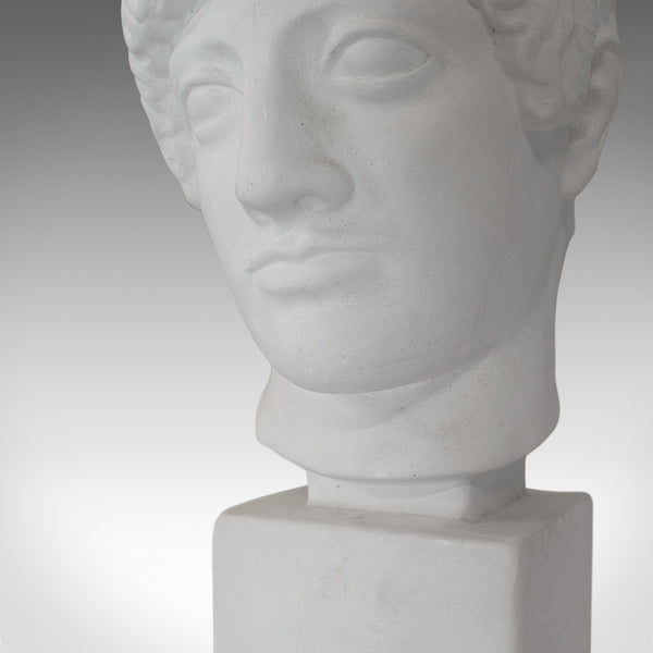 Vintage Male Bust, English, Plaster, Statue, Apollo, Greek Mythology, Classical - London Fine Antiques